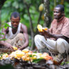 Cocoa Abrabopa Farmers Association, Ishmael Pomasi, Cocoa Post,