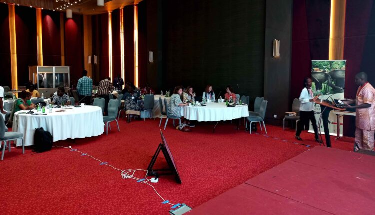 CCC, AfCoP, African Cocoa Platform, Green Innovation Centres, GIZ, Cameroon, Ghana, Togo, Nigeria, Cote d'Ivoire, Cocoa farming, Cocoa production, Sustainability, Traceability, CMS, Cocoa Management System, LID, Living Income Differential, Cocobod, African Cocoa Platform General Assembly Conference, Abidjan,