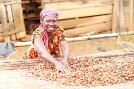 Mighty Earth Launches Cocoa Accountability Map To Track Deforestation In Ghana