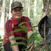 Tropenbos International, EU Deforestation, EU Due Diligence Regulation, Cocoa, Coffee, Ghana, Cote d'Ivoire, European Union, Ban on cocoa import, Poverty, Cocoa farmers, Deforestation, Cocoa Post,