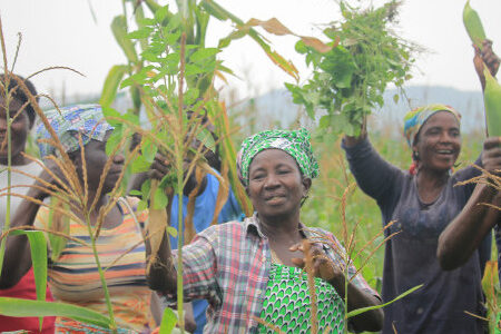 AfDB-backed Agro-Food Processing Project In Togo Progresses