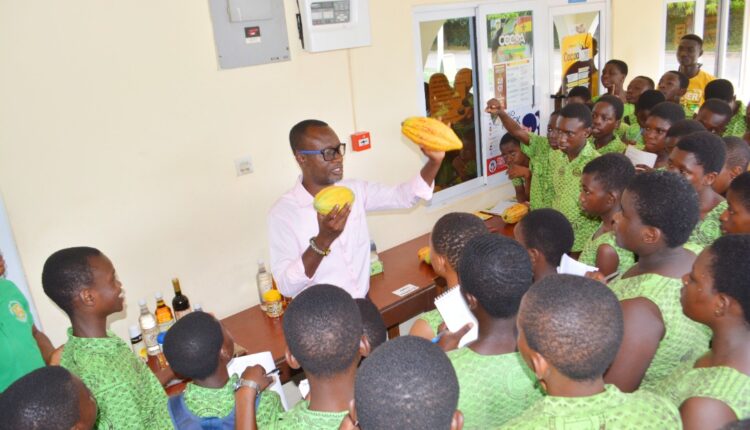 Cocoa Club, Michael Owusu Manu, Ghana Cocoa, Cocoa production, Cocoa Value Addition, Cocoa processing, Cocoa consumption promotion, Cocoa jobs, Entrepreneurship, Cocoa value chain, Cocoa Post,