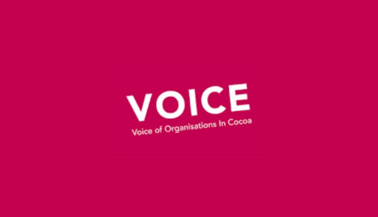 VOICE Network, Vacancy, Hiring, Career opportunity, Employment,Job opening, Communications and Partnerships Manager, Partnerships and Advocacy Manager,