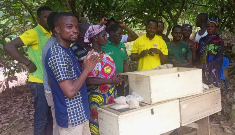 Cocoa Abrabopa Association, Ishmael Pomasi, Cocoa farmers, poverty alleviation, Bogoso, Western Region, Poverty, Ritter Sport, Chocolate, Cocoa farmers, Ghana, Ghana Cocoa Board, COCOBOD,