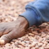 2023 Chocolate Scorecard, Ecocare Ghana, Mighty Earth, Cocoa sustainability, cocoa farmers income, livelihood, child labour, Original Beans, Tony’s ChocoLonely, Beyond Good, OxFam UK, NORC,
