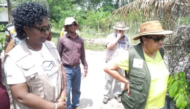 Cocoa Seed Garden, Liberian National Cocoa Seed Garden, Cocoa production, Cocoa sustainability, IFAD, International Fund for Agricultural Development,