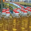 India oil palm, Oil Palm India Limited, Imports, Soyoil, Sunoil, Solvent Extractors' Association of India (SEA),
