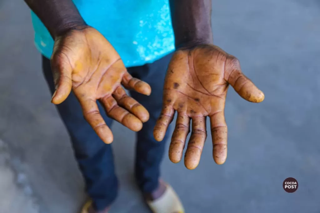 Labour relations, working conditions of workers, smallholder cocoa farms, Ghana, Evans Appiah Kissi, Uriah Nkrumah, cocoa poverty,