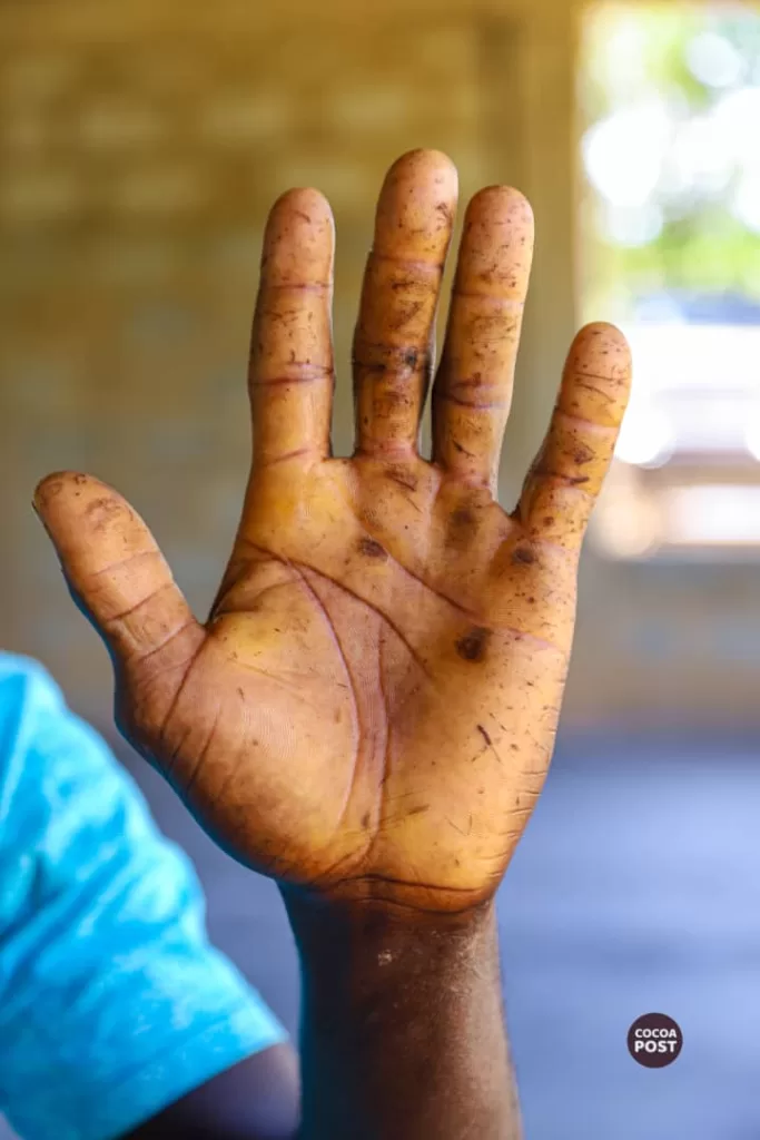 Youth cocoa farmer - Uriah Nkrumah 7
