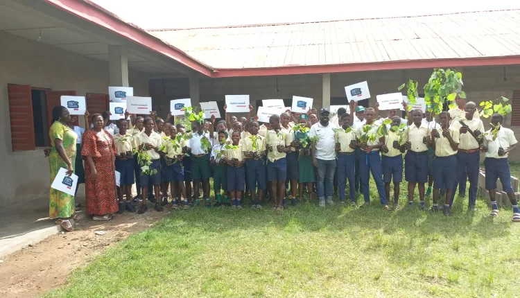 Nigerian Students, Plant, Trees, International Day Of The African Child, Digital Age, Knowledge Economy, Information Age, National Development, Barry Callebaut, Seed for Change, Sustainability, Cocoa production, International Day of the African Child International Day of the African Child