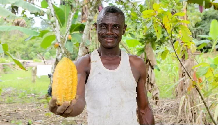 World Bank, Climate Stories, Forestry Commission of Ghana, FCPF, Collect Earth, Ghana, Sustainable Cocoa, Forest, Carbon Credits, CREMA, Climate and Forest-smart, Agriculture,