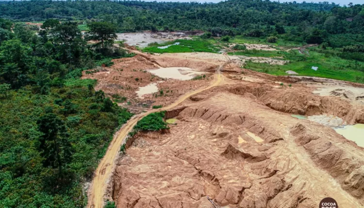 Galamsey, Cocoa poverty, Cocoa Post, Youth in cocoa farming, Cocoa farming, Hard work, Cocoa production, Cocobod, Ghana Cocoa Board, CHED, Sustainability, Cocoa Farmers Pension Scheme, Incentives for farmers, Input, Fertilizer, Agrochemicals, Farm maintenance, Irrigation, Climate Change, Climate impact, Scars, Calluses, Innovation, governance, cocoa farming,