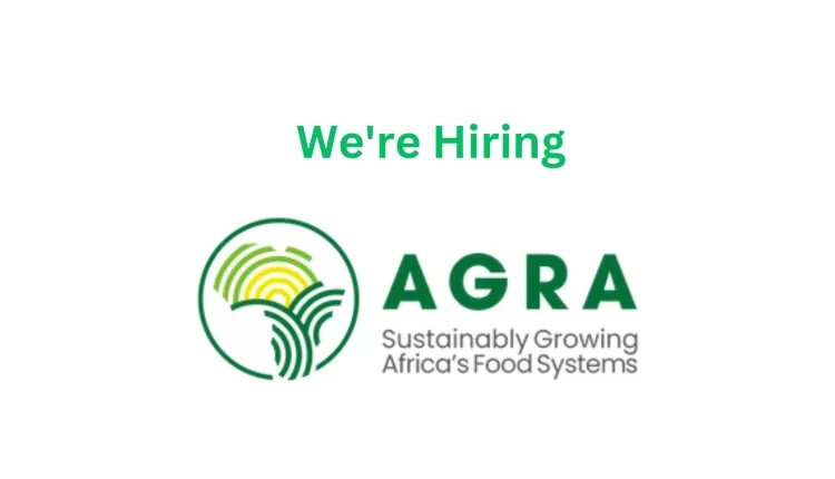 AGRA, Head State Capability, Director - Inclusive Markets, Trade & Finance, Chief of Staff, Vice President, Programs Delivery,