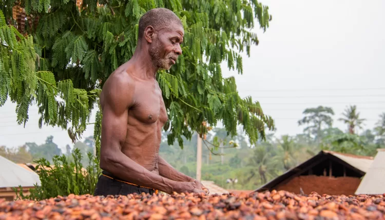 Collective bargaining power, Cocoa farmers, Farmers cooperatives, Access to finance, Knowledge sharing, Agro-input, Resources, Enhanced Market Opportunities, Social development, Community development, Cocoa Life Ghana, Mondelez International, CJ Commodities, Nananom Buyers, ABOCFA, Cocoa Abrabopa Association,