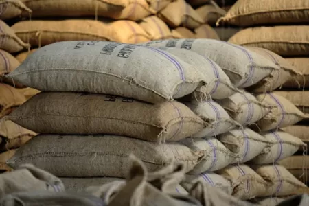 Ghana May Not Fulfil Cocoa Contracts After Poor Harvest