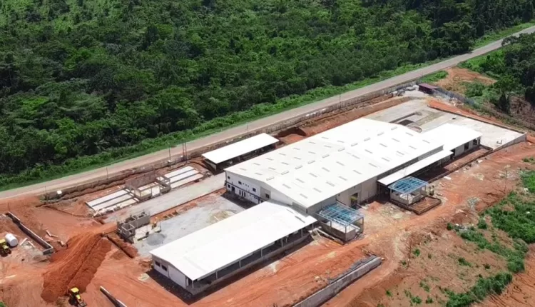 Koa cocoa pulp, Akim Achiase, Assin Akrofuom, Ghana, Switzerland,