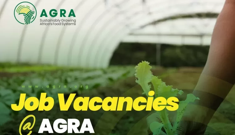 AGRA, Vacancies, Hiring, Gender Integration Lead, Program Officer Quality Assurance & Regulation, Specialist, Implementation & Liaison Officer, Specialist, Inclusive Finance for Youth, Head, Digital Systems & Solutions for Agriculture,
