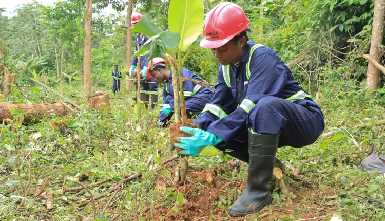 Afarinick Company Limited, Kumad Global Impact Limited, National Cocoa Rehabilitation Programme, Ghana Cocoa Board, Global Goals, Gender Equality, Poverty alleviation, Job creation, Labour shortage, Youth employment, Women empowerment, Farm service,
