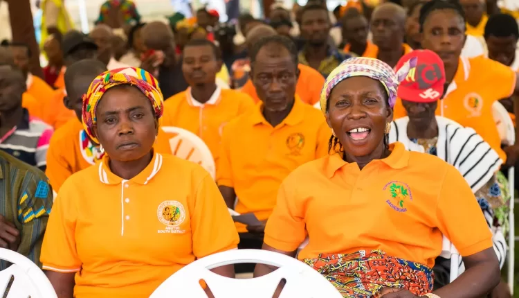 Big Announcement,Big Day, Cocoa price, Cocoa producer price, Farmgate price, Ghana Cocoa Board, President Nana Akufo-Addo,