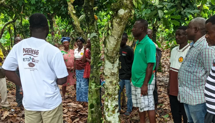 Farmer field school, Kokofu, Productivity Enhanced Programme, PEP, Ghana Cocoa Board, Cocobod, GIZ, FFS,