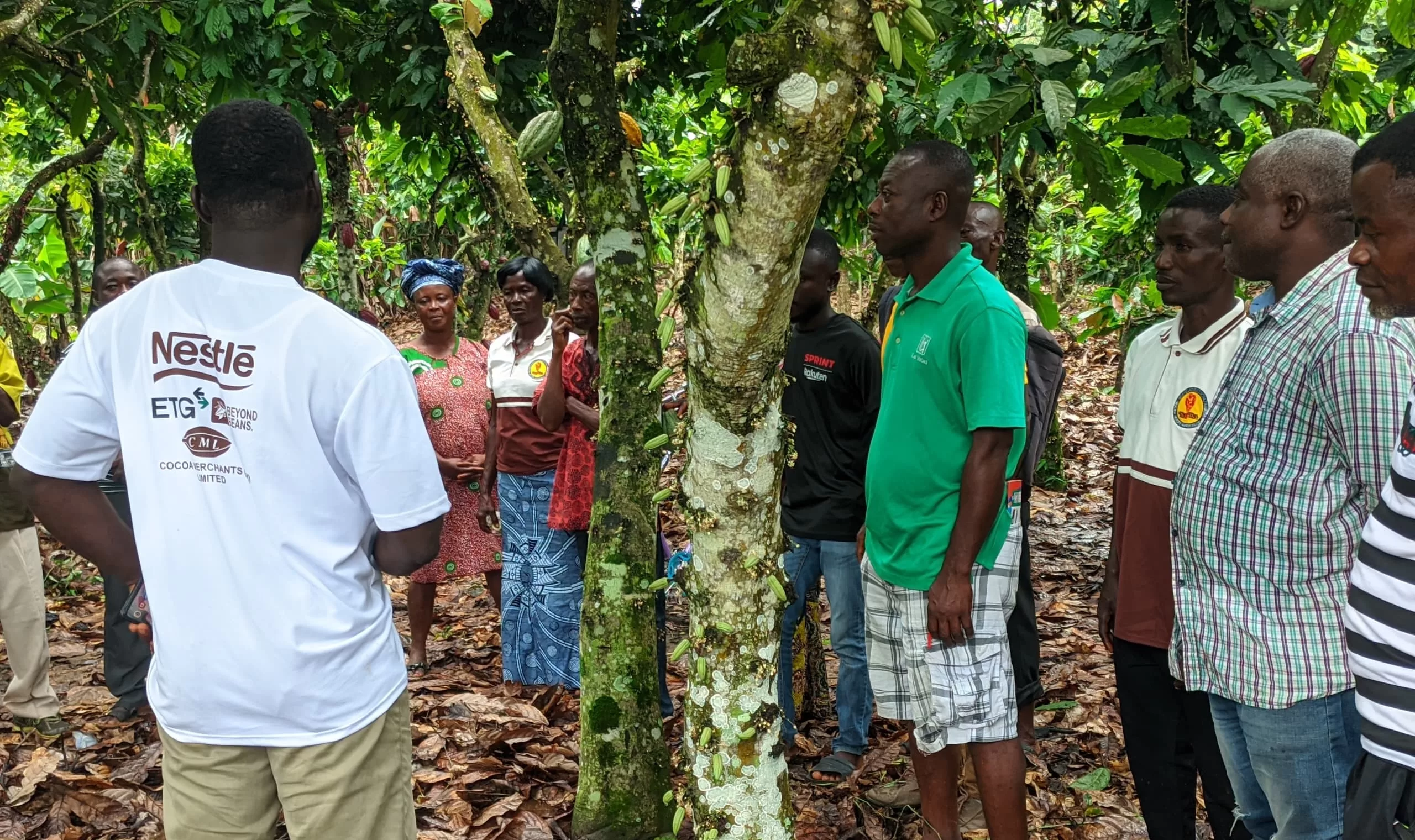 Farmer field school, Kokofu, Productivity Enhanced Programme, PEP, Ghana Cocoa Board, Cocobod, GIZ, FFS,