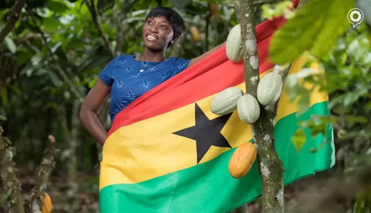 Ghana Cocoa, Story, Tetteh Quarshie, Gold Coast, Fernando Po, Bioko, Equatorial Guinea, Akuapim Mampong, Osu, Ghana Cocoa Board, Cocobod, Dutch, Basel, Missionaries, British colonial government, Akwapim Mampong,