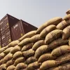 Ghana cocoa shortage, Cocoa syndicated loan, Ghana Cocoa Board, Bank of Ghana, Cocoa production, Cocoa farming, Cocoa price, Cocoa output, Cocoa season, Loan output,