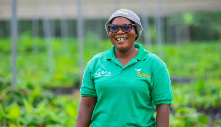 Cocoa Rehab, Job, University Degree, Dadieso, Aowin, Suaman, Project Officer, Cocoa rehabilitation, Esther Nyarko, Afarinick Company Limited, Kumad Global Impact Limited, Seedling production, Ghana Cocoa Board, COCOBOD, Cocoa rehab,