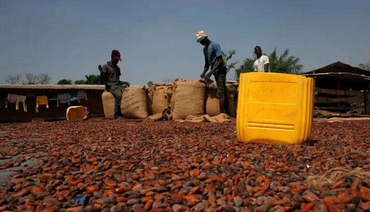Ivory Coast, Cocoa prices, Multinational, Cocoa companies, Cocoa buyers, World market prices,