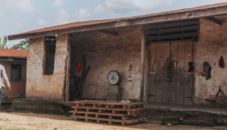 Cocoa importation, Cocoa shed, Ghana, Cocoa buyers, LBCs, Licensed Buying Companies, Cocoa traders, Ghana Cocoa Board, COCOBOD, Non-payment, Financial crunch, CTORs, Seed Fund, PBC, Produce Buying Company, CMC, Cocoa Marketing Company, FEDCO, Nyonkopa Buying Company, Olam Cocoa Ghana, ECOM Ghana, Afrotropic Cocoa Processing Company Ltd,