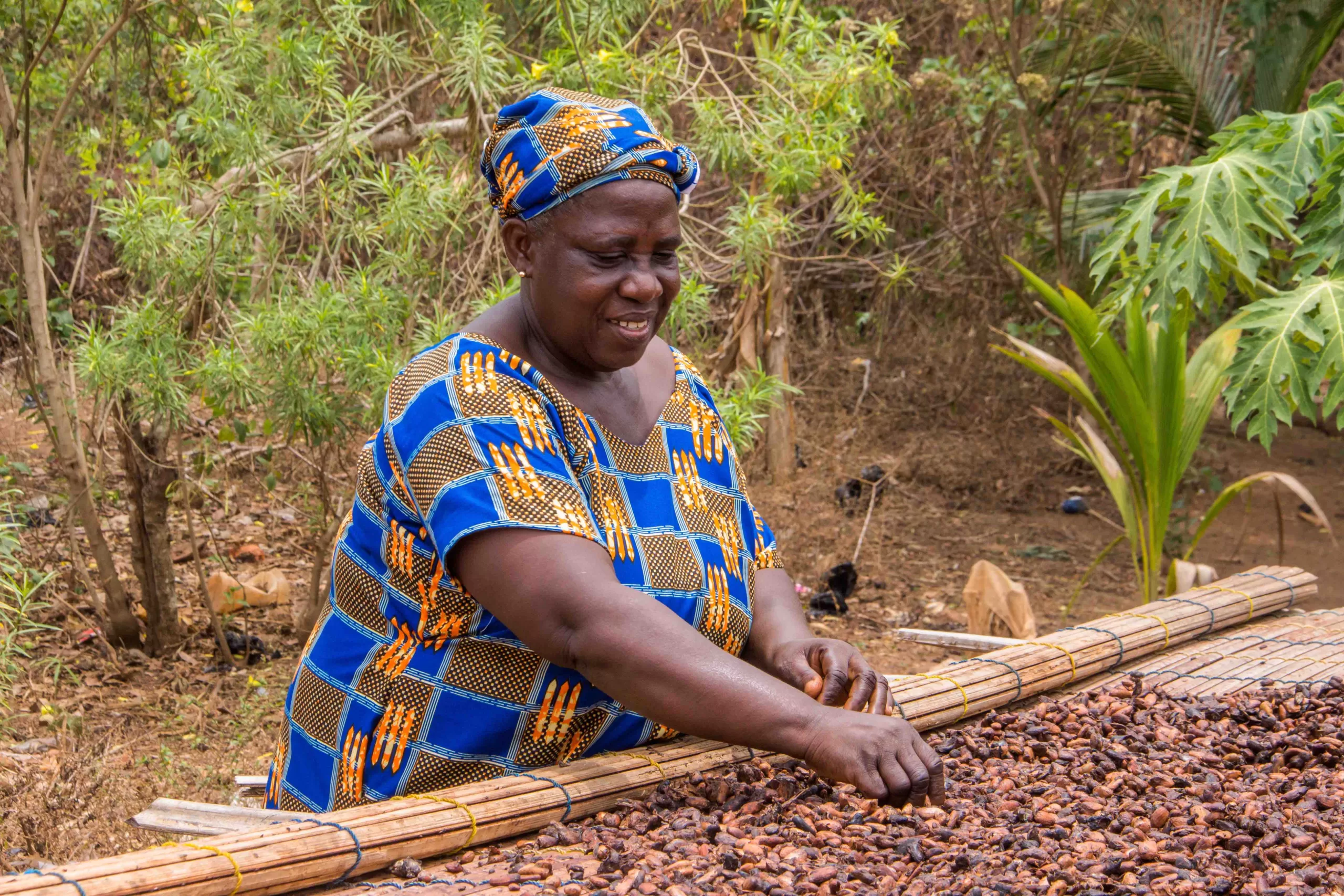 Women in Cocoa, Ghana, Cocoa Life Program, Asunafo North, Ahafo Region, International Women's Day, IWD 2022, Mondelez International, Cocoa Post, Yaa Peprah Amekudzi, Living Income,