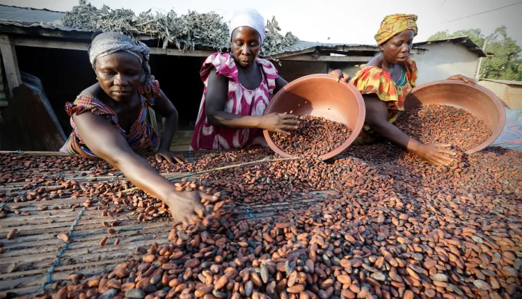 Sustainability, VOICE Network, Living Income, Chocolate, Cocoa, Antonie Fountain, Mars, Ferrero, Mondelez, Hershey, Nestlé, Barry Callebaut, Cargill,