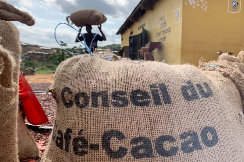 Yves Brahima Kone, Ivory Coast, Cocoa Smuggling, Guinea, Contraband, Cocoa price, West Africa, Ghana, CCC, Conseil du Café Cacao, farmgate price,