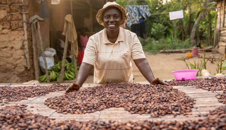 Leticia Yankey, Cocoa farmer, Female cocoa farmer, Cocoa Mmaa, Oxfam Novib, Valentine's Day, World Chocolate Day, Europe, Netherlands, Living income,