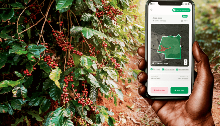Smallholders EUDR, Tracer App, Plant for the Planet, EUDR, EU Deforestation regulation, Living income, Smallholder cocoa farmers, Polygons, EUDR compliance, Shapefile, Cocoa farms, Forests, Plant-for-the-Planet Foundation