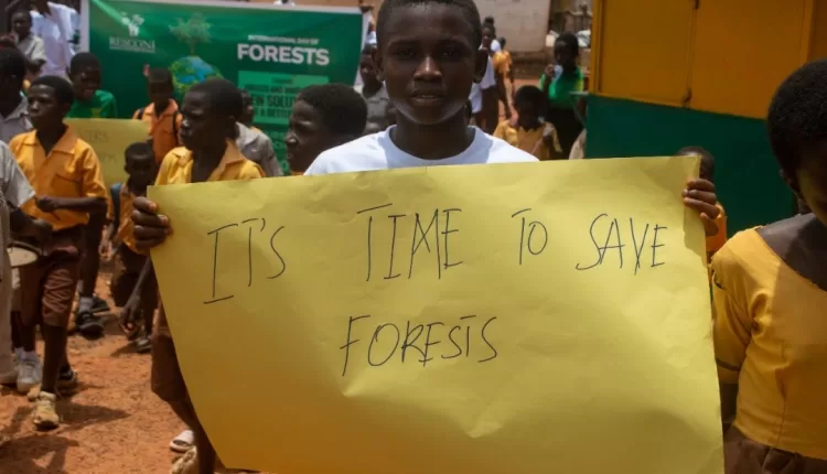 RESCONI, Resource Conservation Initiative, FC, Forestry Commission, Forest protection, Forest restoration, Deforestation, Cocoa production, Ghana,