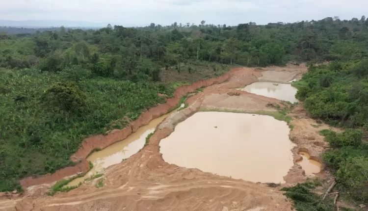 Illegal Mining, Ghana, Cocoa Rehabilitation, Galamsey, MIGOP Mining Limited, Ghana Cocoa Board, COCOBOD, Minerals Commission, Prof. Michael Kwateng, Anti-Illegal Mining Unit,