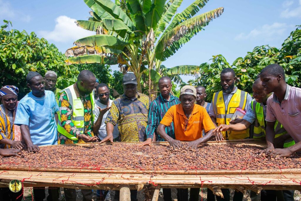Savanna Cocoa, Northern Ghana Cocoa, Mohammed Yinchala, Dr Francis Baah, Dr Randy Abbey, Nanumba cocoa farm,