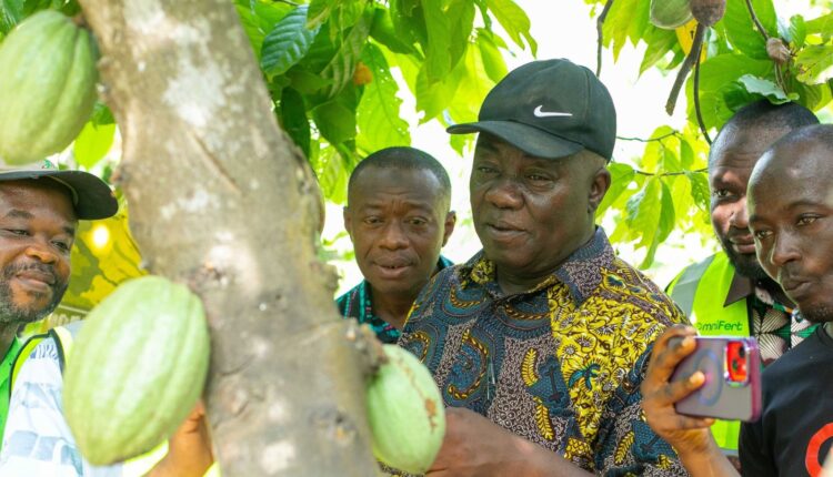 Savanna Cocoa, Northern Ghana Cocoa, Mohammed Yinchala, Dr Francis Baah, Dr Randy Abbey, Nanumba cocoa farm, Northern Region, Bimbilla, Ghana, Jahinfo Ya,